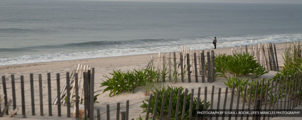 Bay Head Business Ociation