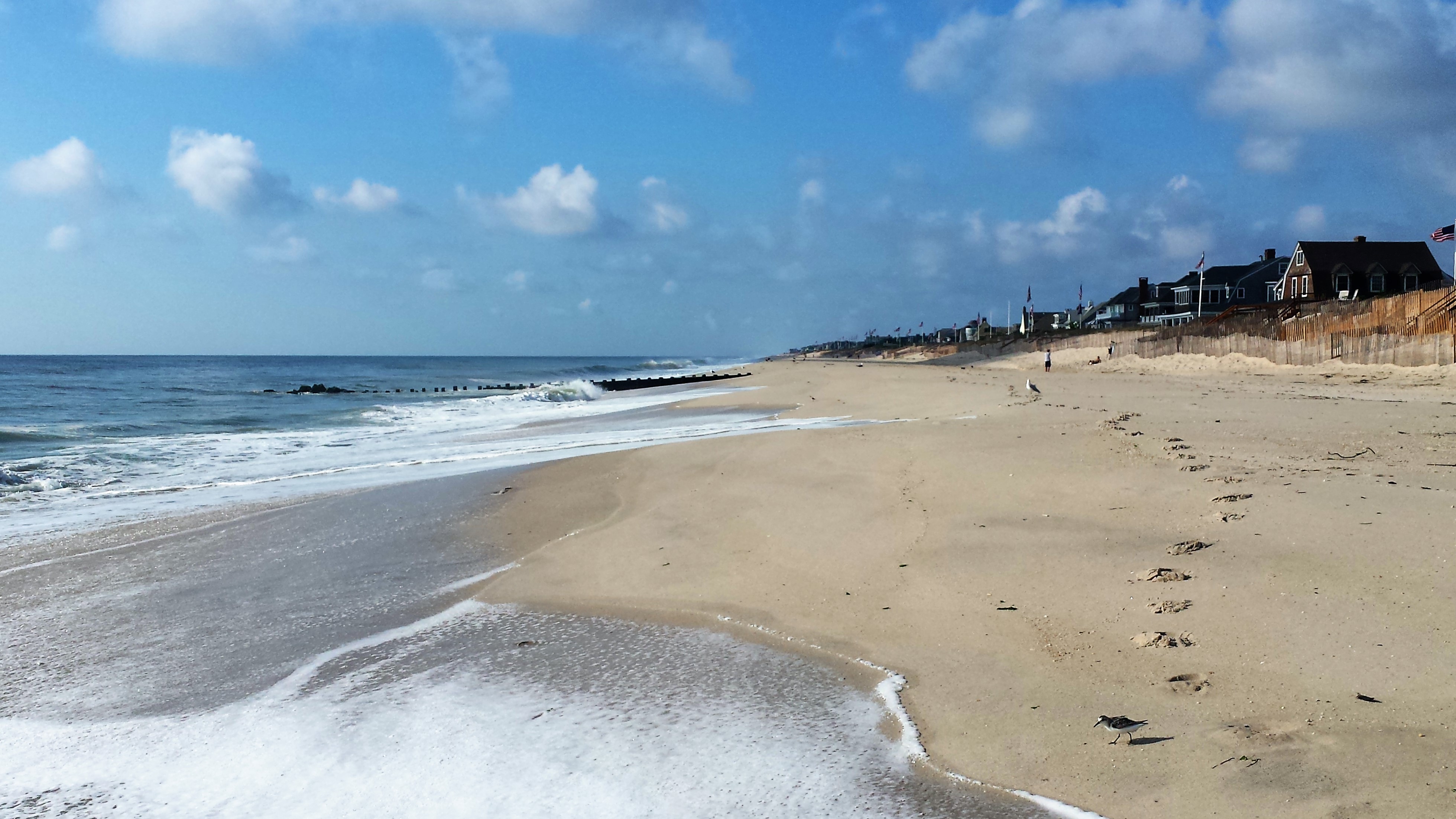 Bay Head Beach Sweeps Business Ociation 20160831 090556